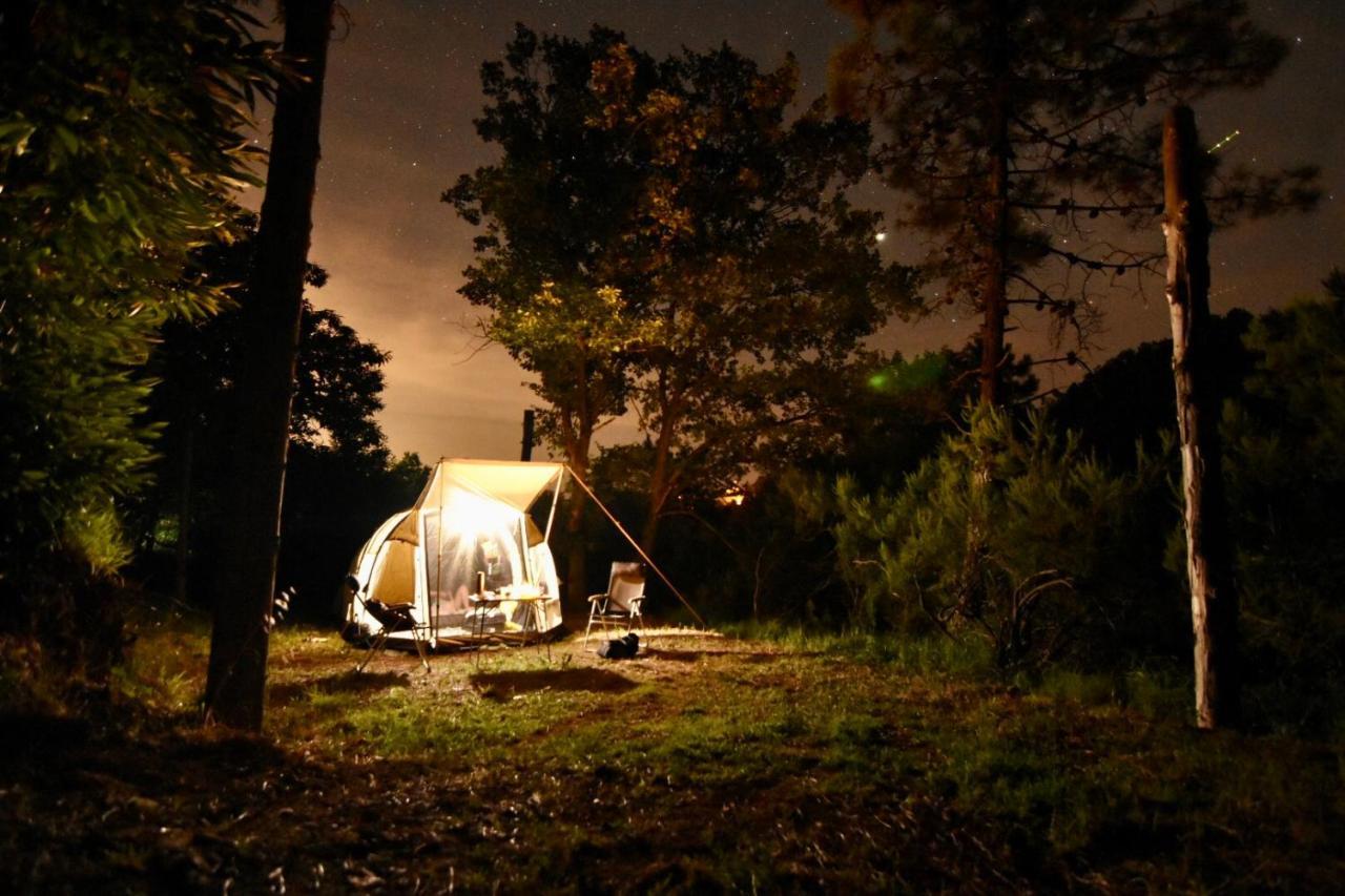 Agriturismo Ca Du Chittu Carro Zewnętrze zdjęcie