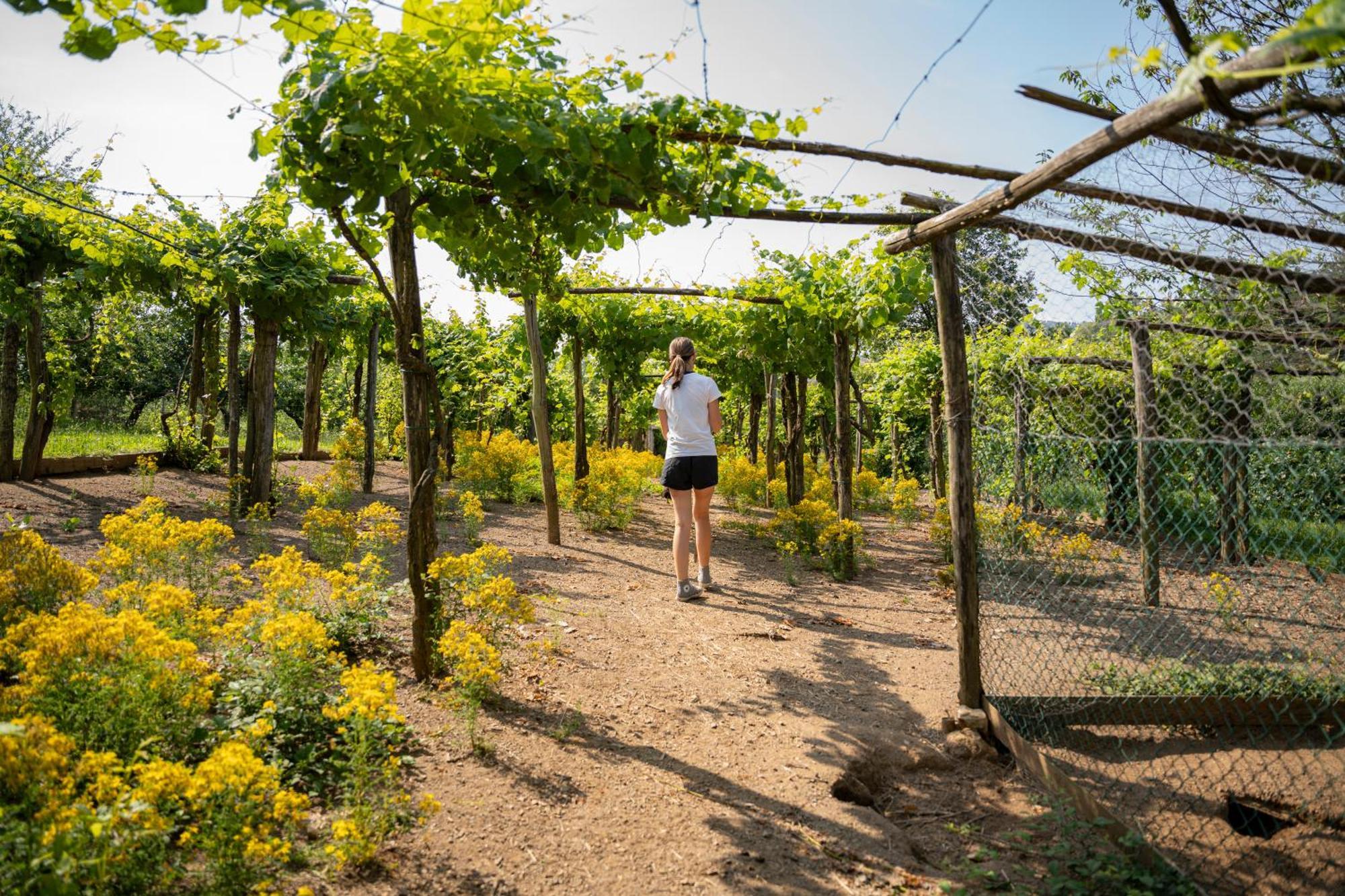 Agriturismo Ca Du Chittu Carro Zewnętrze zdjęcie